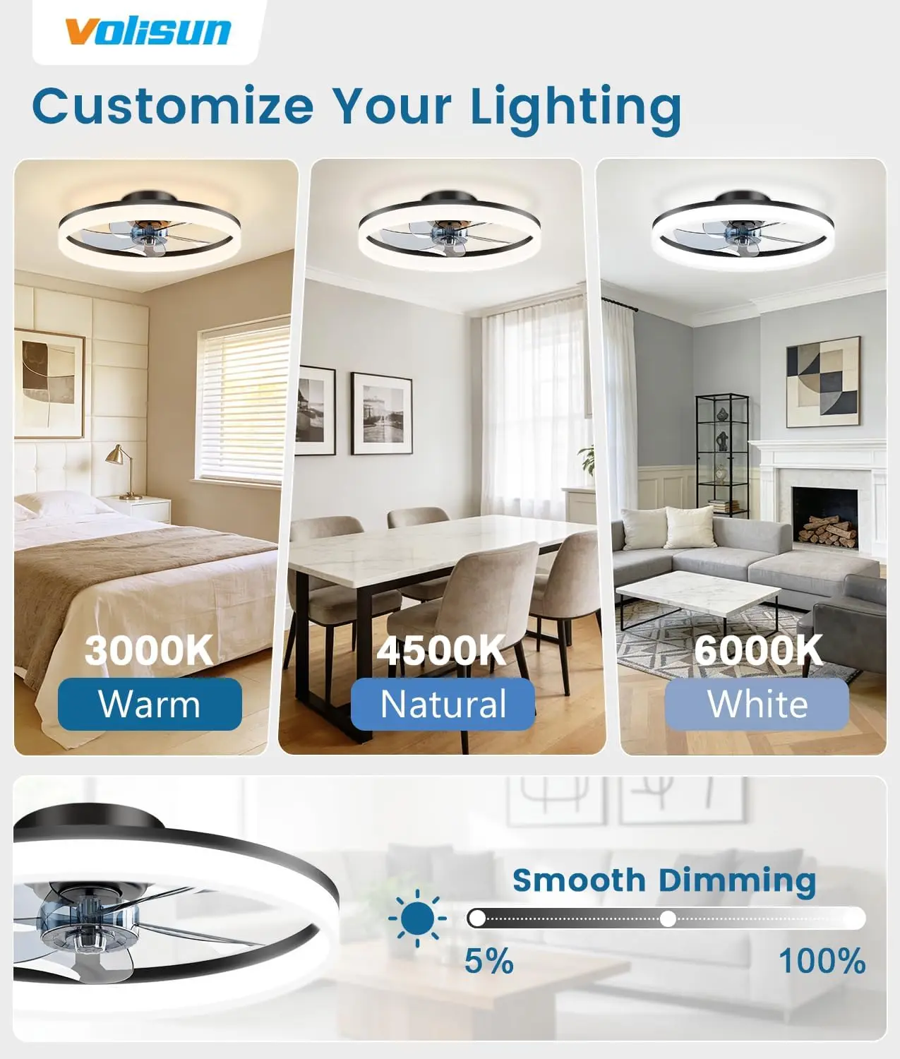 Ventilatori da soffitto a bass - Ceiling Fan Mount recensione e prezzo