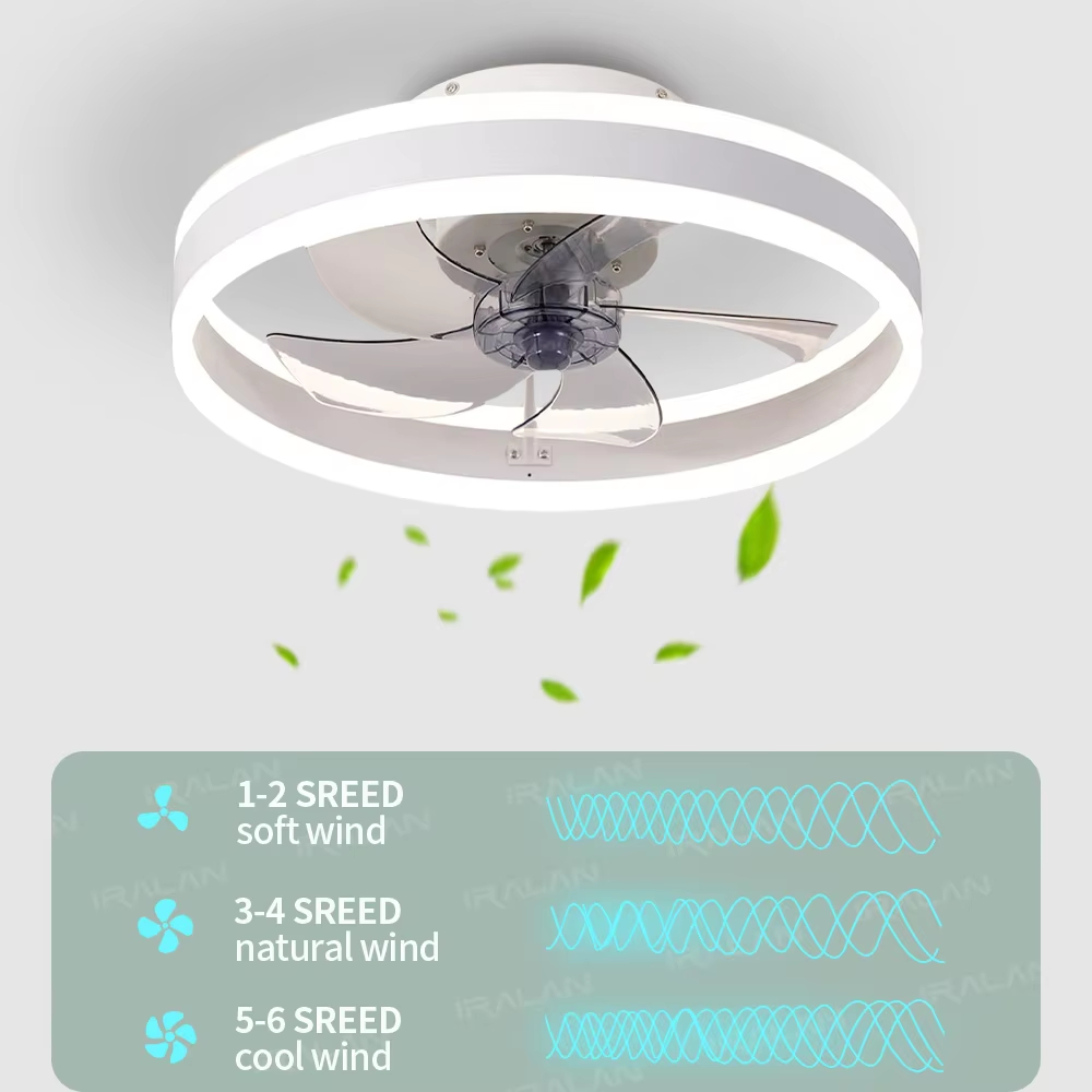 Ventilatore da Soffitto Intell - Ceiling Fan Mount recensione e prezzo